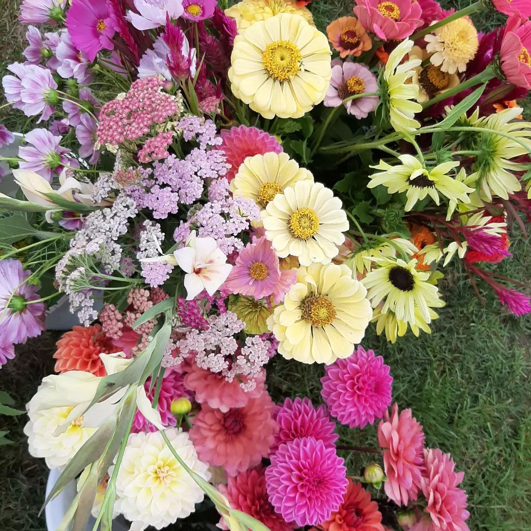 Bouquet de Fleurs des champs